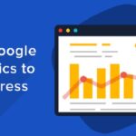 How to connect google analytics in wordpress website